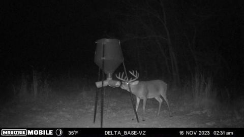 Tiny photo for Ridgeview Lane, Blue Rock, OH 43727 (MLS # 5189398)