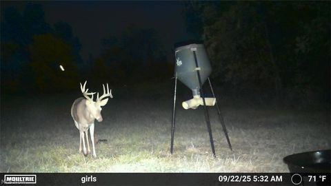 Tiny photo for Ridgeview Lane, Blue Rock, OH 43727 (MLS # 5189398)