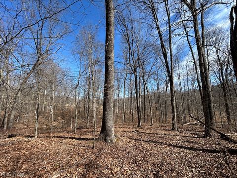 Tiny photo for Ridgeview Lane, Blue Rock, OH 43727 (MLS # 5189398)