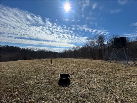 Tiny photo for Ridgeview Lane, Blue Rock, OH 43727 (MLS # 5189398)