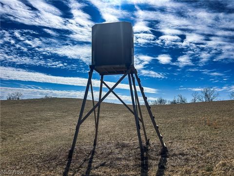 Tiny photo for Ridgeview Lane, Blue Rock, OH 43727 (MLS # 5189398)