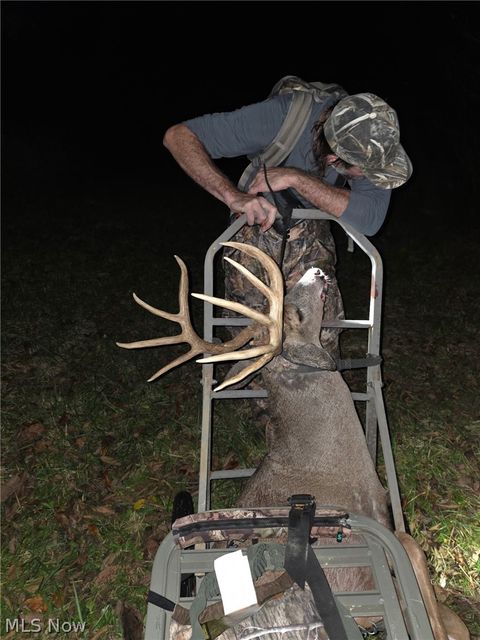 Tiny photo for Ridgeview Lane, Blue Rock, OH 43727 (MLS # 5189398)