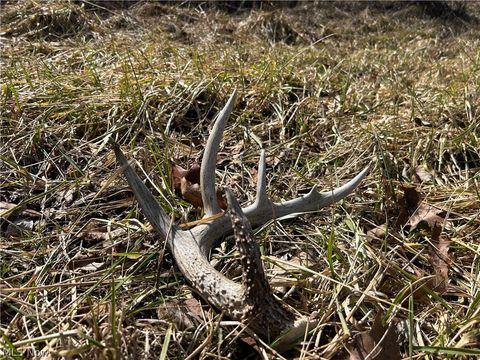 Tiny photo for Ridgeview Lane, Blue Rock, OH 43727 (MLS # 5189398)