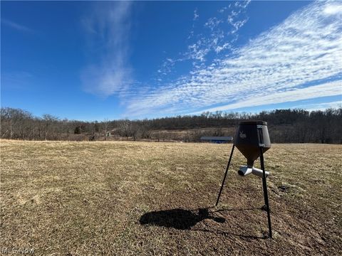 Tiny photo for Ridgeview Lane, Blue Rock, OH 43727 (MLS # 5189398)