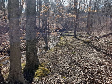 Tiny photo for Ridgeview Lane, Blue Rock, OH 43727 (MLS # 5189398)