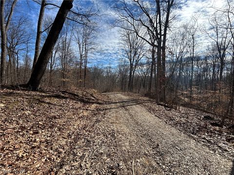 Tiny photo for Ridgeview Lane, Blue Rock, OH 43727 (MLS # 5189398)