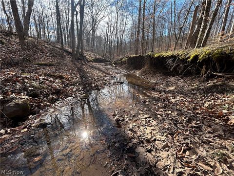 Tiny photo for Ridgeview Lane, Blue Rock, OH 43727 (MLS # 5189398)