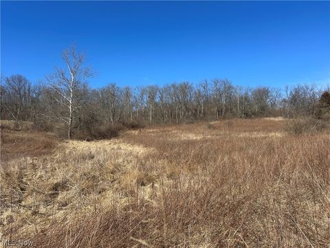 Tiny photo for Ridgeview Lane, Blue Rock, OH 43727 (MLS # 5189398)