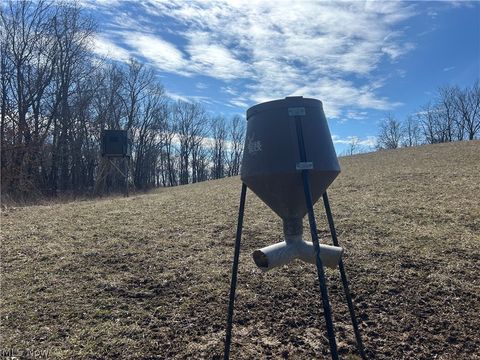 Tiny photo for Ridgeview Lane, Blue Rock, OH 43727 (MLS # 5189398)