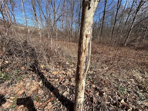 Tiny photo for Ridgeview Lane, Blue Rock, OH 43727 (MLS # 5189398)