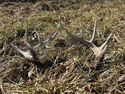 Tiny photo for Ridgeview Lane, Blue Rock, OH 43727 (MLS # 5189398)