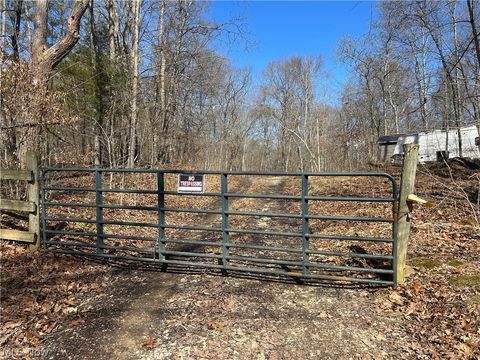 Tiny photo for Ridgeview Lane, Blue Rock, OH 43727 (MLS # 5189398)