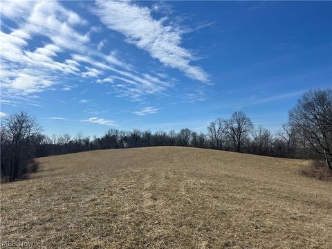 Tiny photo for Ridgeview Lane, Blue Rock, OH 43727 (MLS # 5189398)