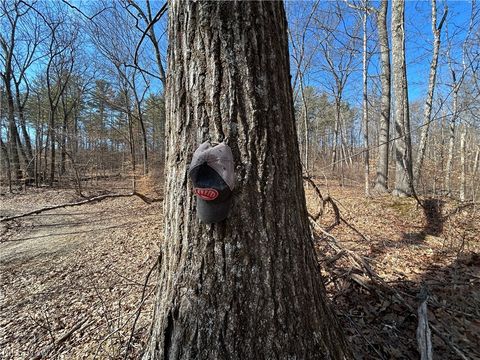 Tiny photo for Ridgeview Lane, Blue Rock, OH 43727 (MLS # 5189398)