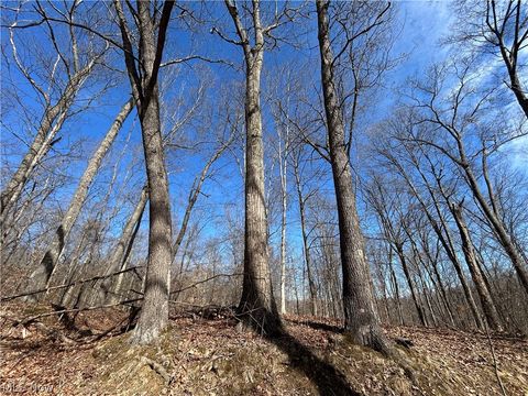 Tiny photo for Ridgeview Lane, Blue Rock, OH 43727 (MLS # 5189398)