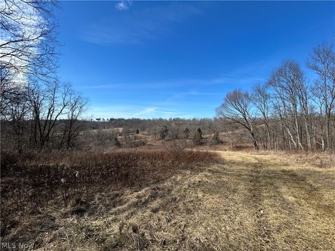 Tiny photo for Ridgeview Lane, Blue Rock, OH 43727 (MLS # 5189398)