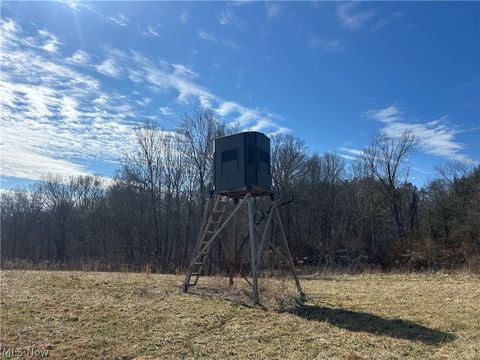 Photo of Ridgeview Lane, Blue Rock, OH 43727 (MLS # 5189398)