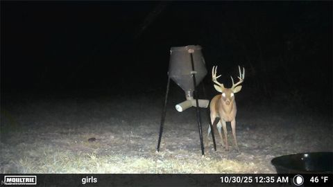 Tiny photo for Ridgeview Lane, Blue Rock, OH 43727 (MLS # 5189398)