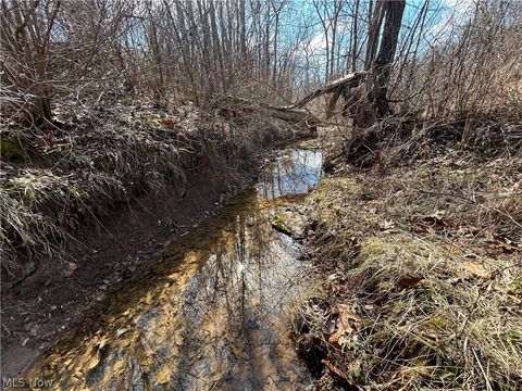 Tiny photo for Ridgeview Lane, Blue Rock, OH 43727 (MLS # 5189398)