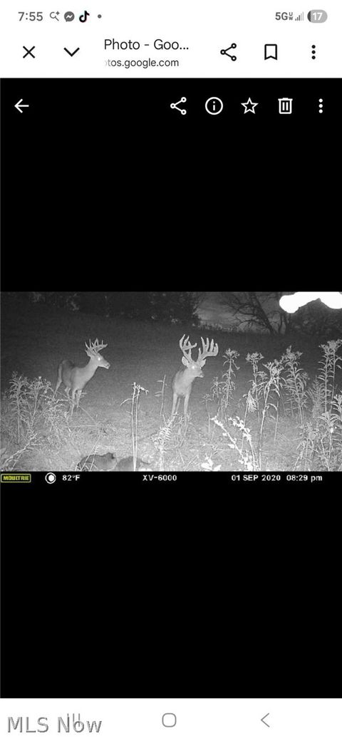 Tiny photo for Ridgeview Lane, Blue Rock, OH 43727 (MLS # 5189398)