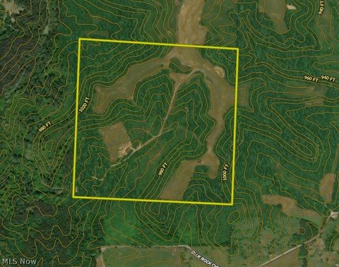 Tiny photo for Ridgeview Lane, Blue Rock, OH 43727 (MLS # 5189398)