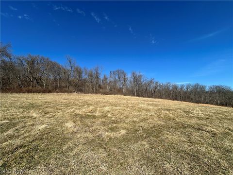 Tiny photo for Ridgeview Lane, Blue Rock, OH 43727 (MLS # 5189398)