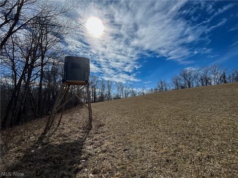 Tiny photo for Ridgeview Lane, Blue Rock, OH 43727 (MLS # 5189398)