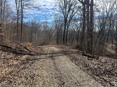 Tiny photo for Ridgeview Lane, Blue Rock, OH 43727 (MLS # 5189398)