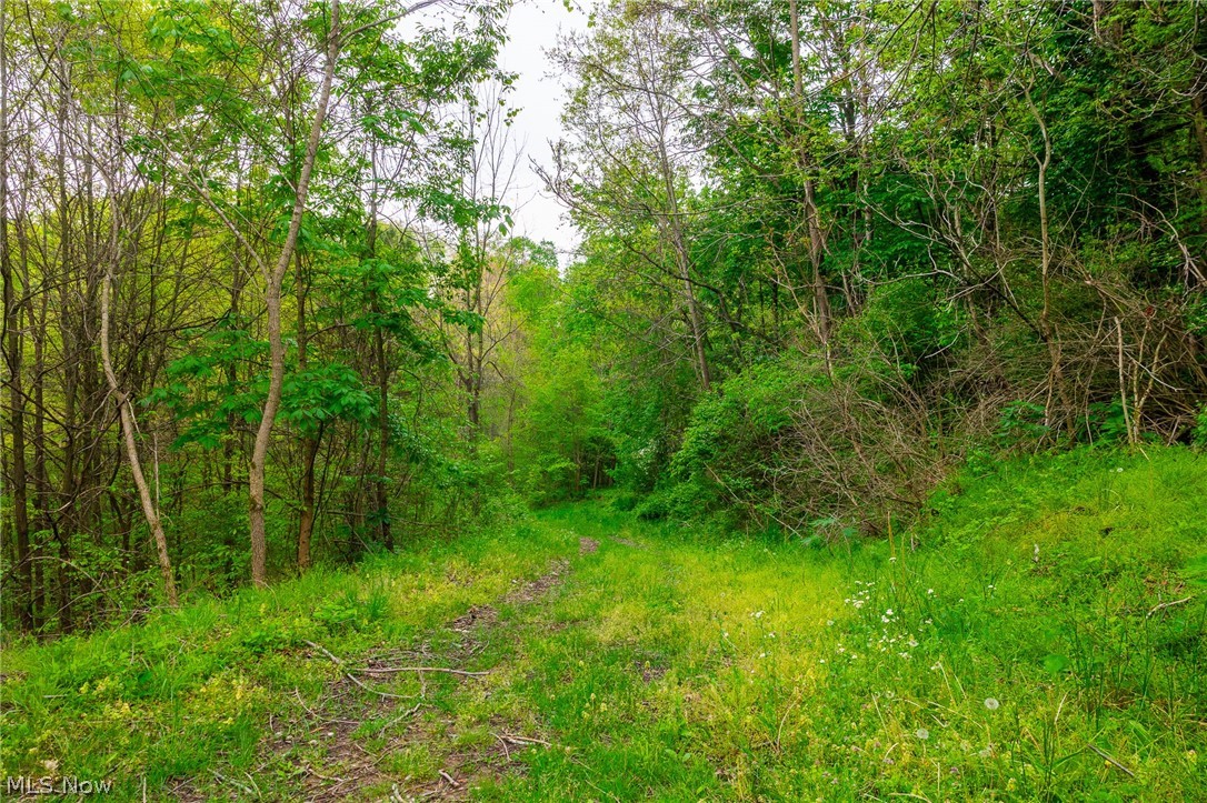 60936 Patch Road