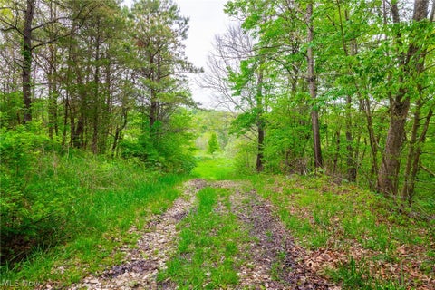 Vacant Land For Sale - 60936 Patch Road<br/> New Concord, OH 43762