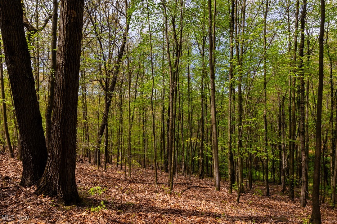 23350 Township Rd 399, Coshocton, Ohio image 14