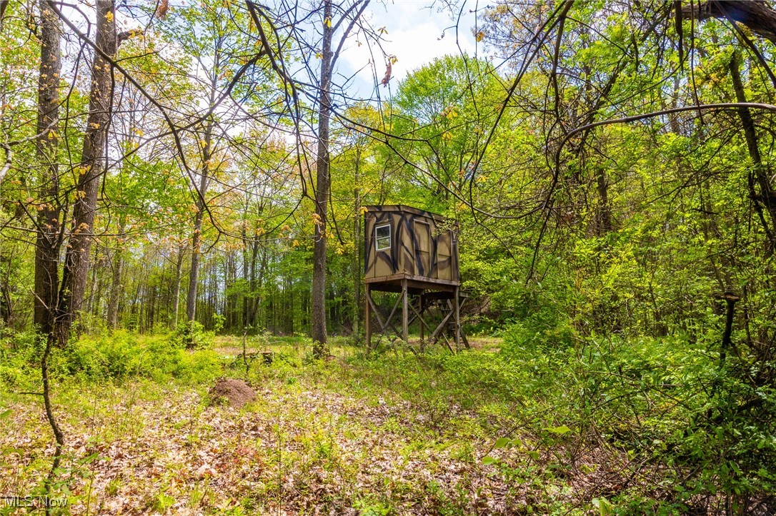 23350 Township Rd 399, Coshocton, Ohio image 19