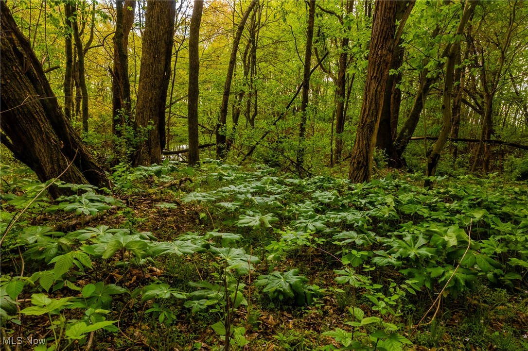 23350 Township Rd 399, Coshocton, Ohio image 31