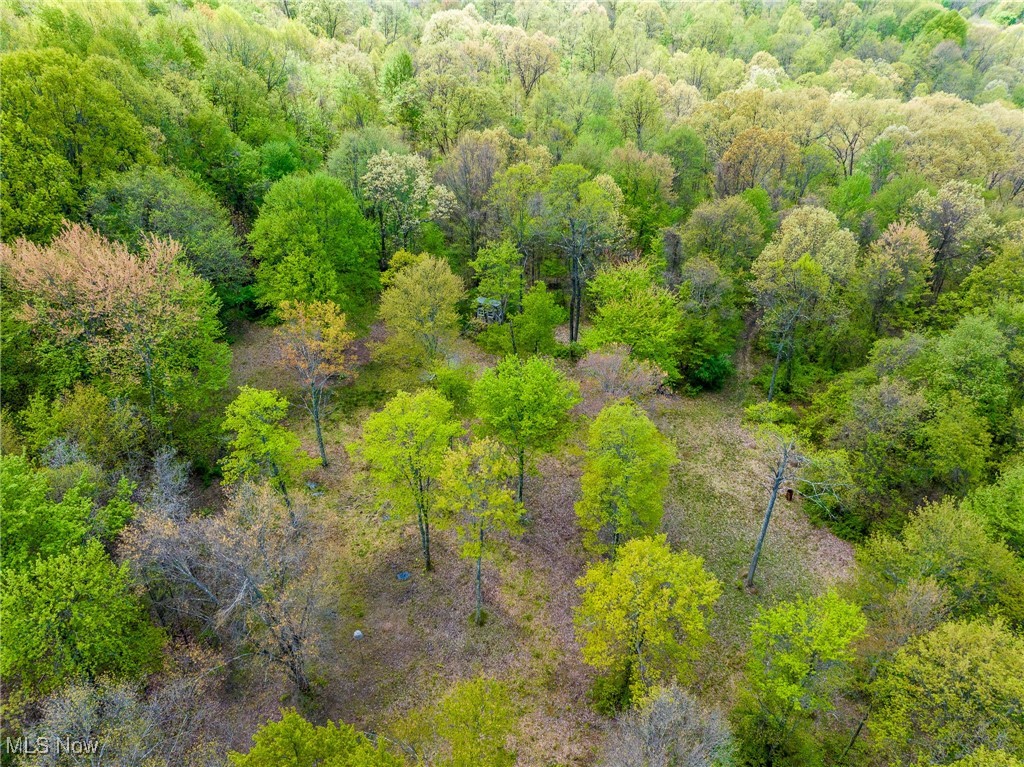 23350 Township Rd 399, Coshocton, Ohio image 49