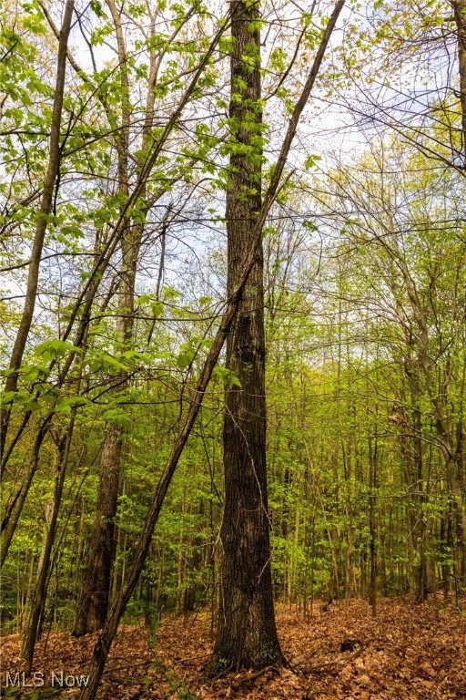 23350 Township Rd 399, Coshocton, Ohio image 11