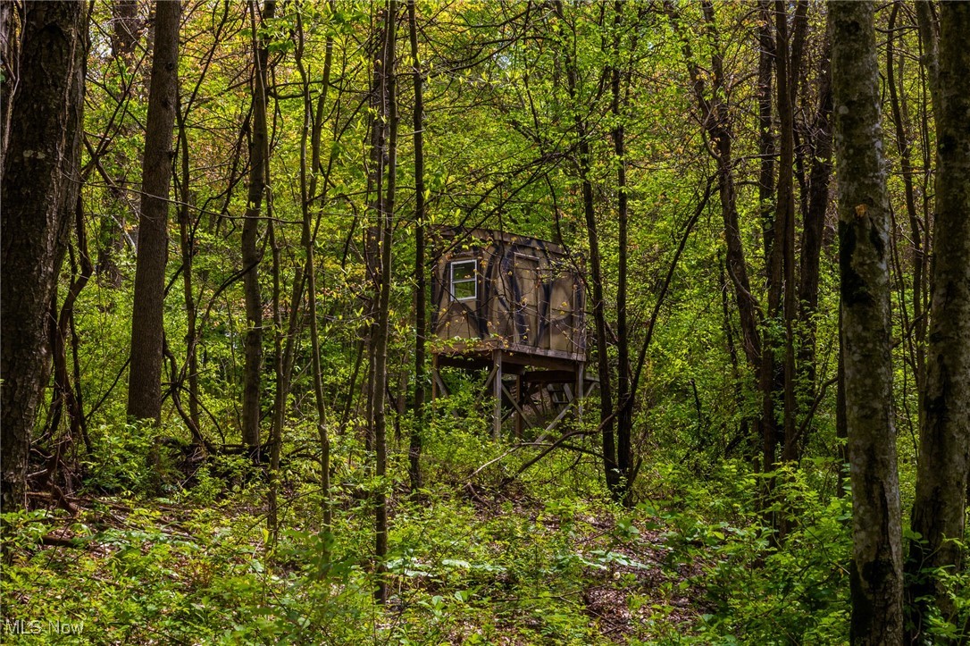 23350 Township Rd 399, Coshocton, Ohio image 17