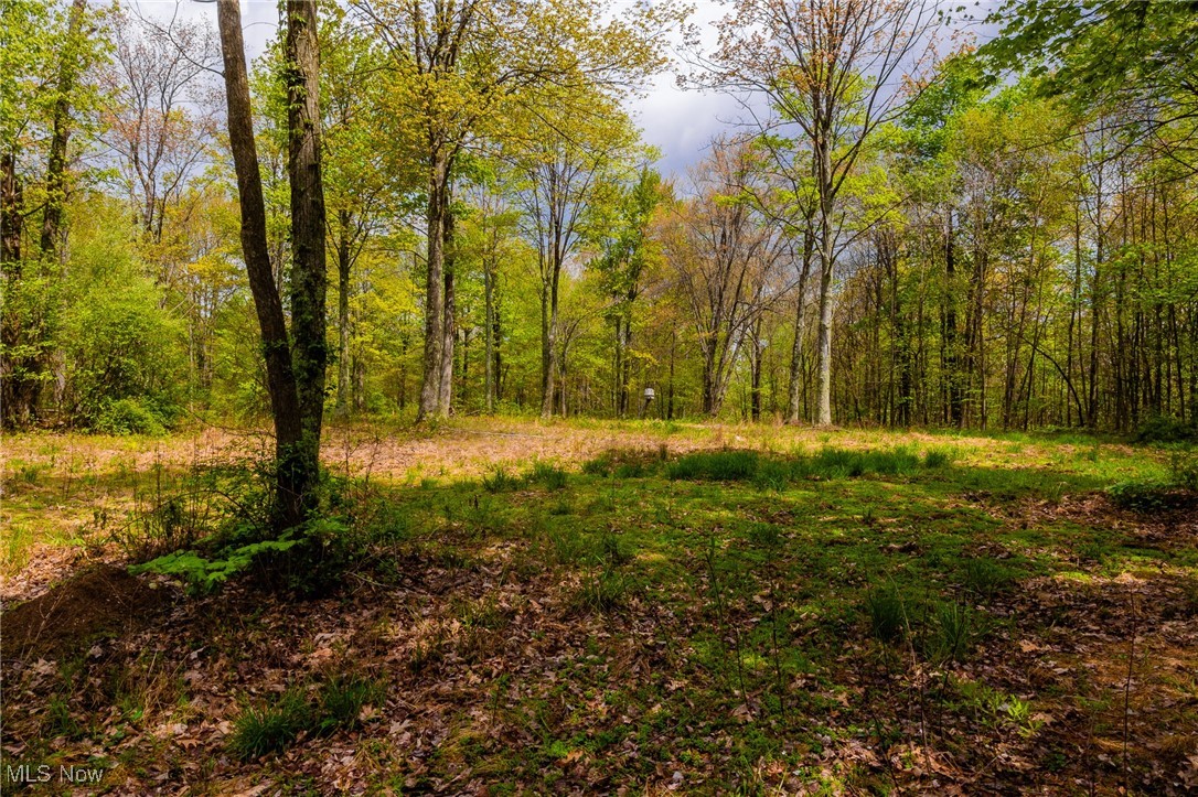 23350 Township Rd 399, Coshocton, Ohio image 37