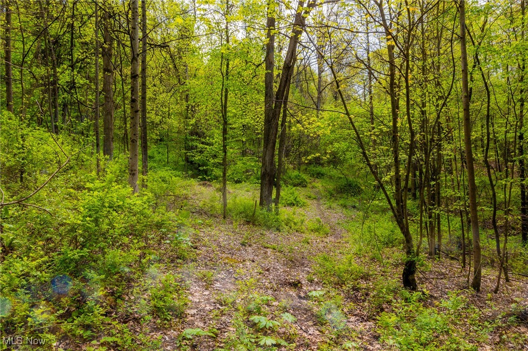 23350 Township Rd 399, Coshocton, Ohio image 42