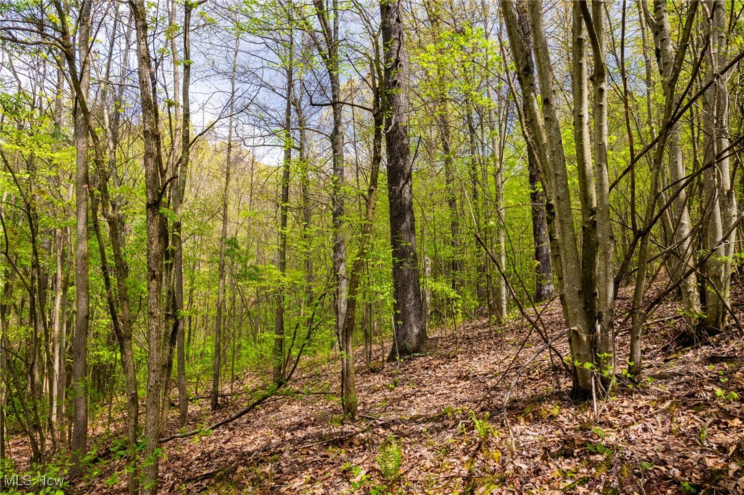 23350 Township Rd 399, Coshocton, Ohio image 7
