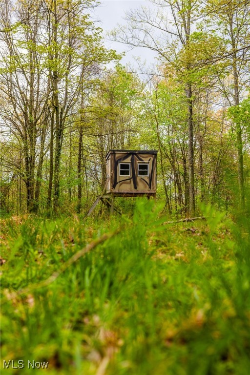 23350 Township Rd 399, Coshocton, Ohio image 24