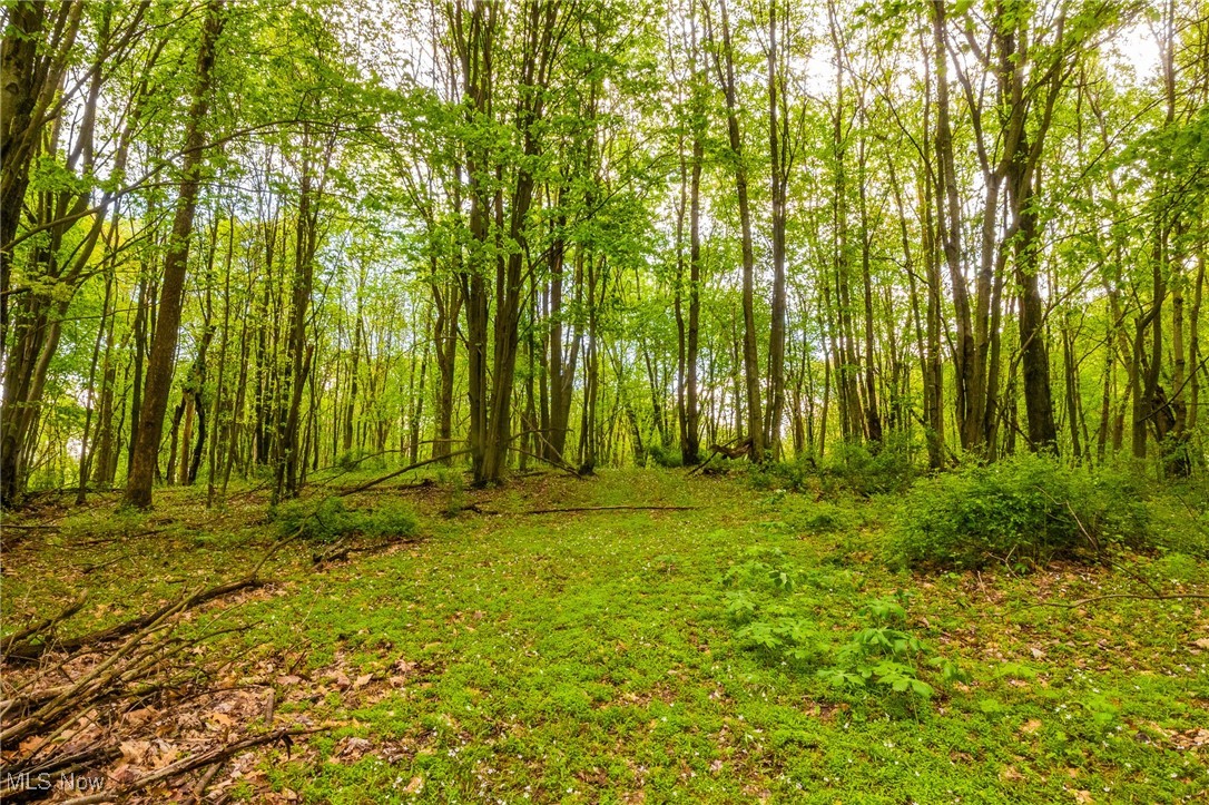 23350 Township Rd 399, Coshocton, Ohio image 26
