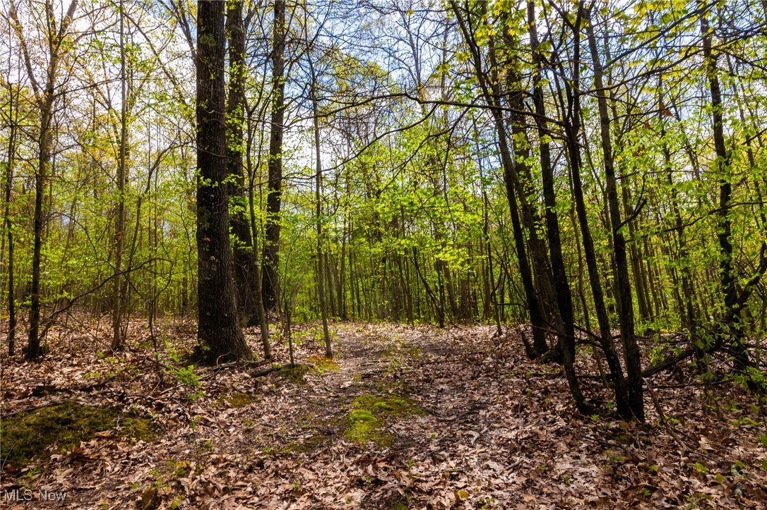 23350 Township Rd 399, Coshocton, Ohio image 10