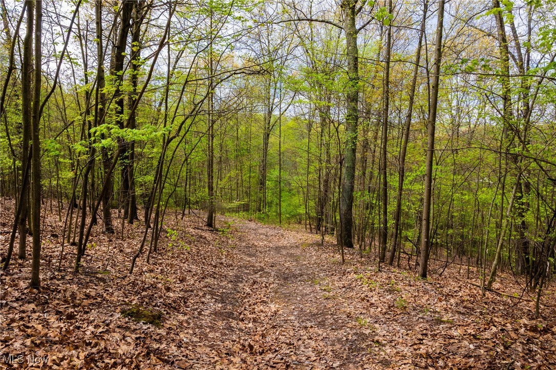 23350 Township Rd 399, Coshocton, Ohio image 13