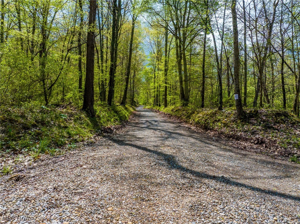 23350 Township Rd 399, Coshocton, Ohio image 45