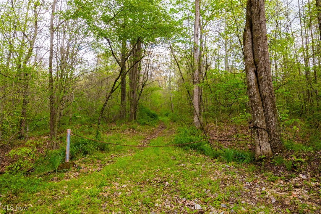 23350 Township Rd 399, Coshocton, Ohio image 1