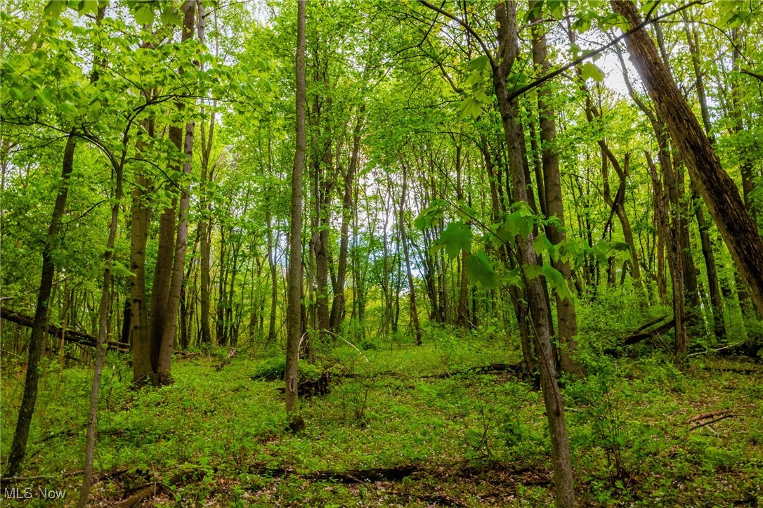 23350 Township Rd 399, Coshocton, Ohio image 36
