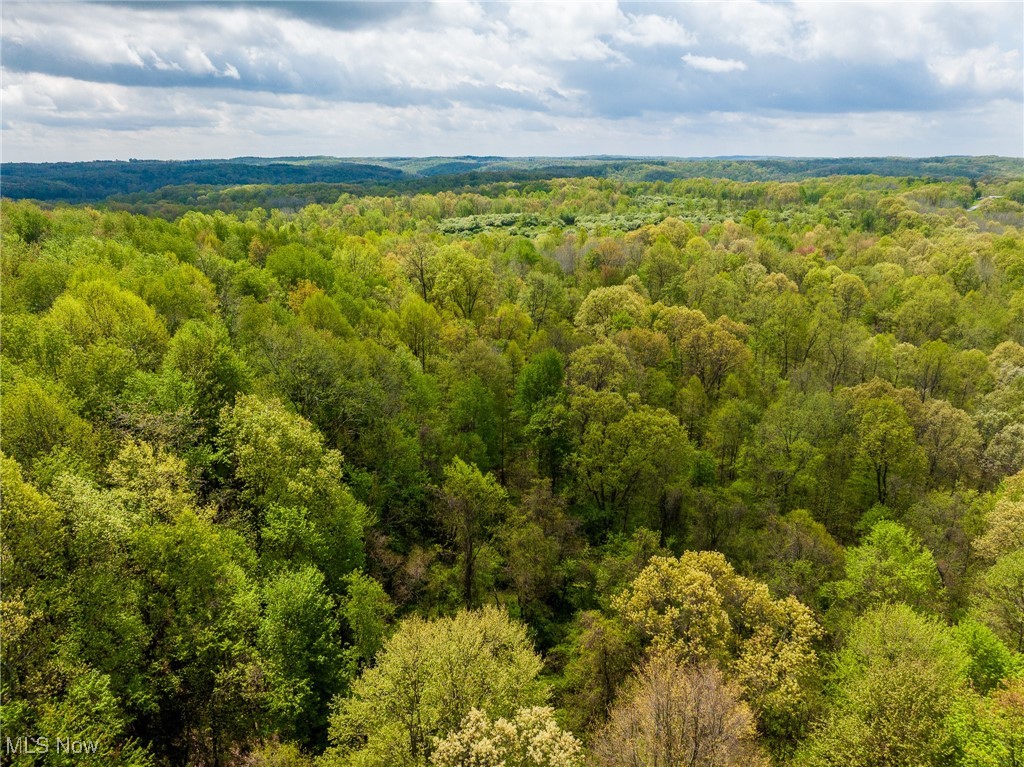23350 Township Rd 399, Coshocton, Ohio image 50