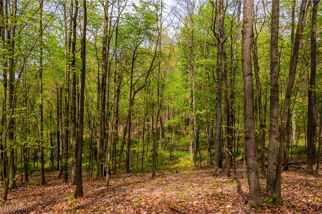 23350 Township Rd 399, Coshocton, Ohio image 15
