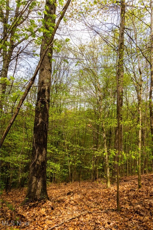 23350 Township Rd 399, Coshocton, Ohio image 12