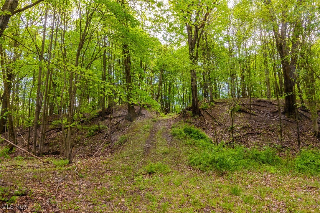 23350 Township Rd 399, Coshocton, Ohio image 25